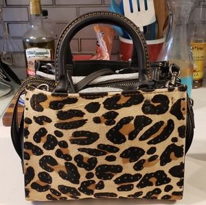 Coach Leopard print mini